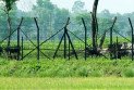পোরশা সীমান্তে বিএসএফের গুলিতে বাংলাদেশি নিহত